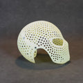 Face Shell
